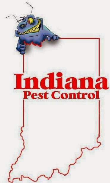Indiana Pest Control | 231 Rainbow Dr, Kokomo, IN 46902 | Phone: (800) 464-4133