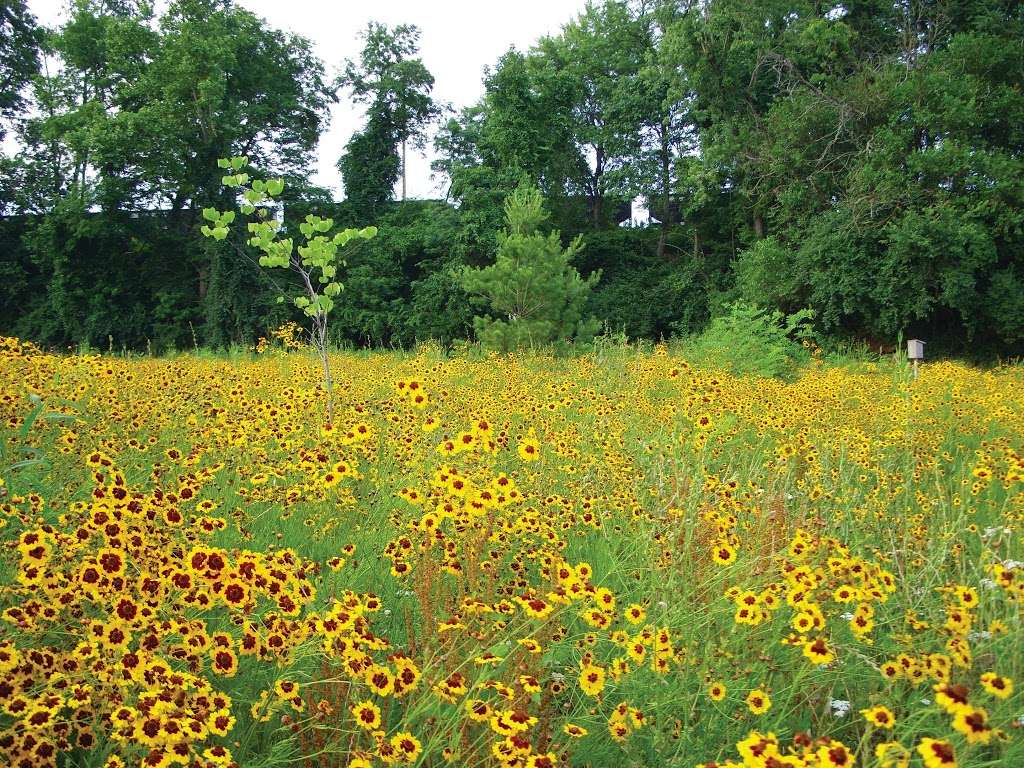 Angelica Creek Park | 700 Arlington St, Reading, PA 19611, USA | Phone: (610) 372-4992