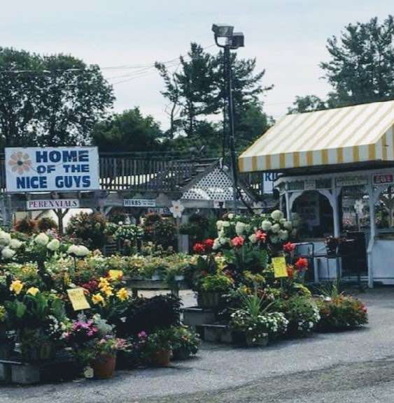 Richardsons Floral Center | 1918 Kirkwood Hwy, Newark, DE 19711, USA | Phone: (302) 737-1073