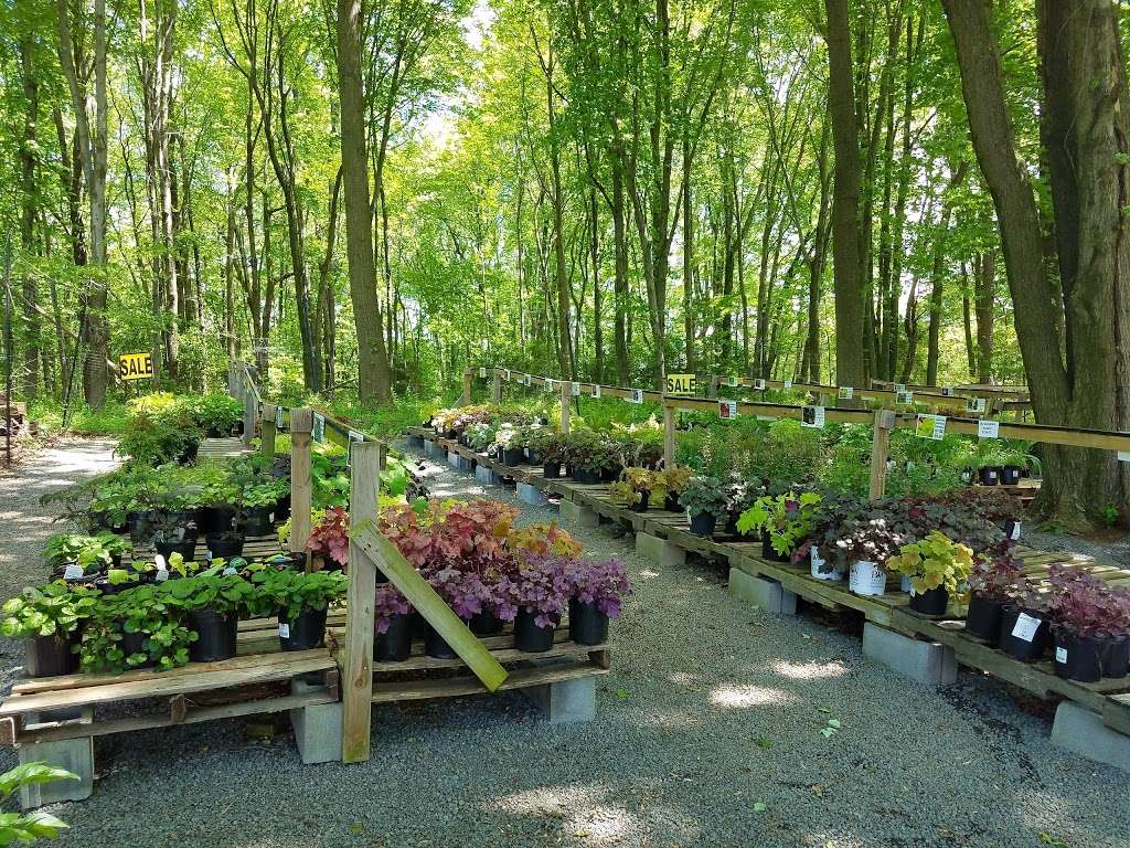 Meadows Farms Nurseries & Landscaping | 10618 Leesburg Pike, Vienna, VA 22182, USA | Phone: (703) 759-3900