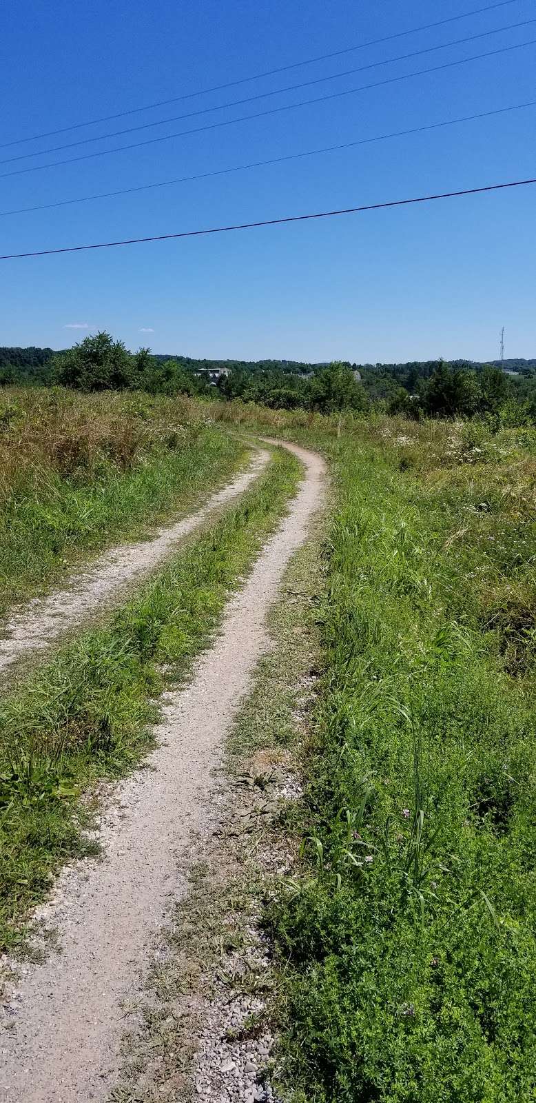 Parking, Union Canal Trail head | 1339 County Welfare Rd, Leesport, PA 19533