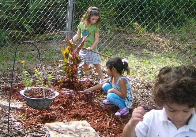 Montessori World School | 11659 Ruby Lake Rd, Orlando, FL 32836, USA | Phone: (407) 239-6024