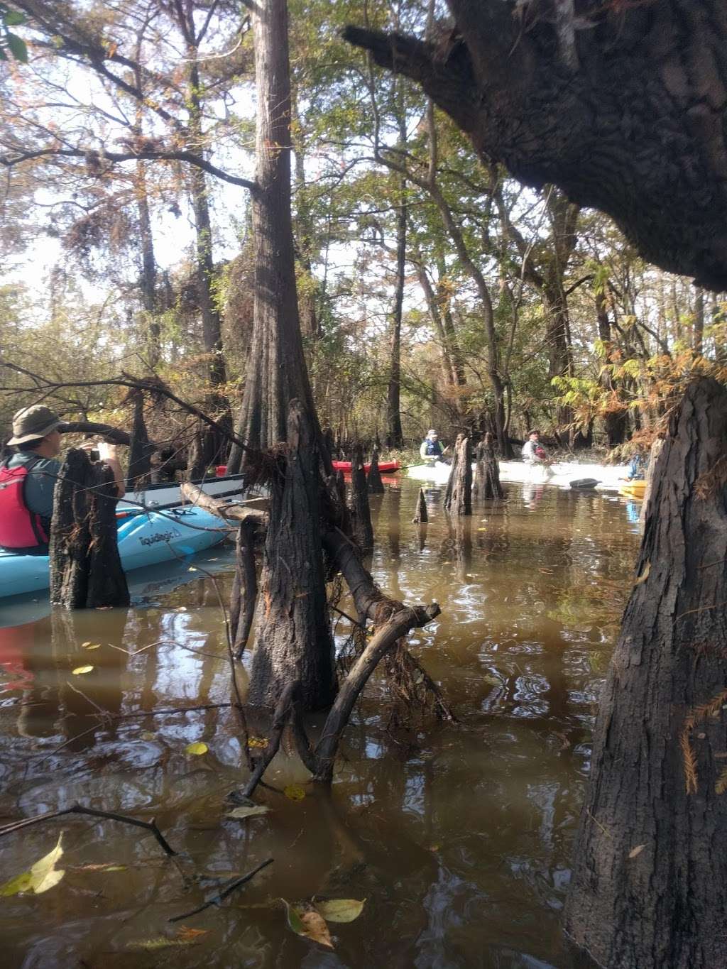 Bates Allen Park in 630 Charlie Roberts Ln, East Bernard, TX 77435, USA