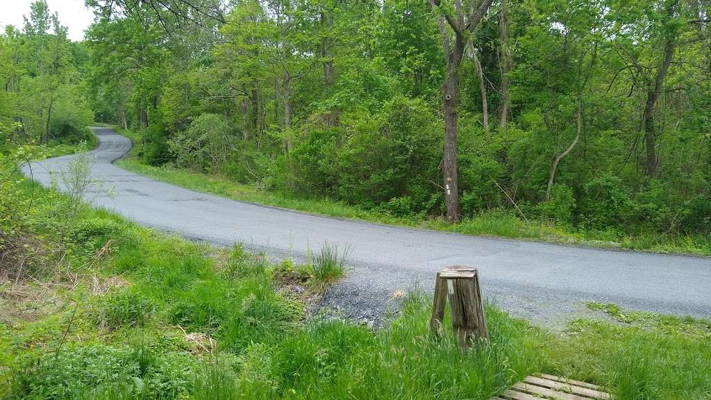 Trail head parking | Appalachian Trail, Linden, VA 22642, USA