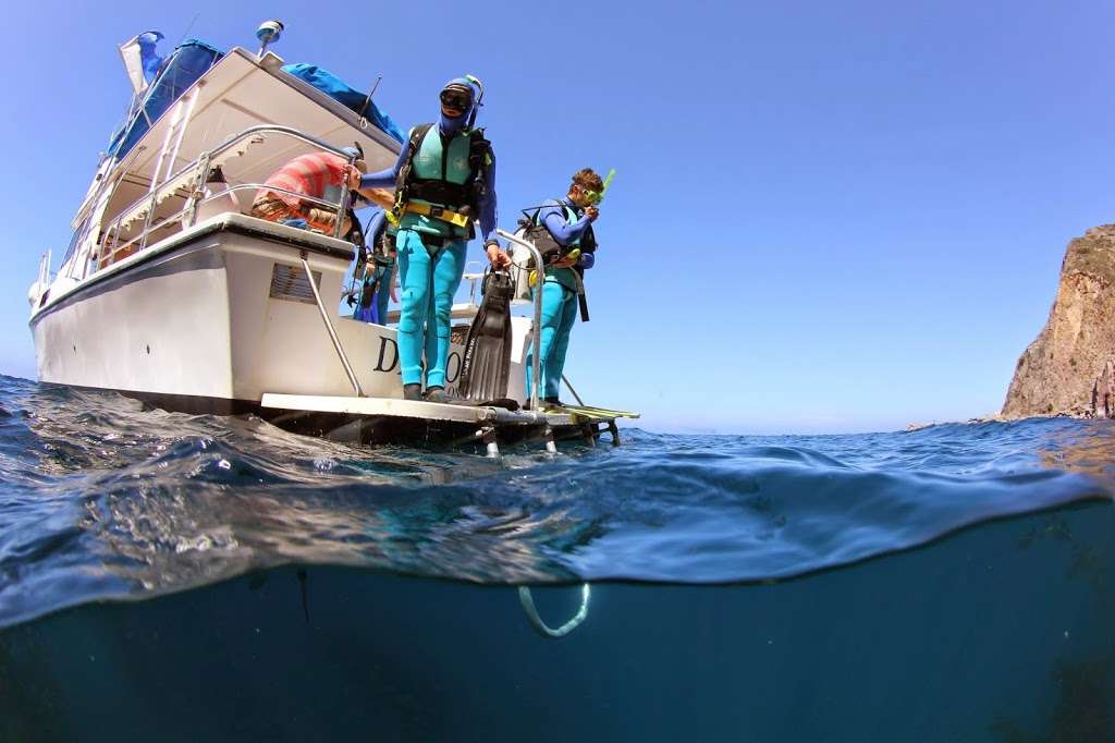 Catalina Island Marine Institute (CIMI) | 1 Toyon Bay Rd, Avalon, CA 90704, USA | Phone: (310) 510-1622