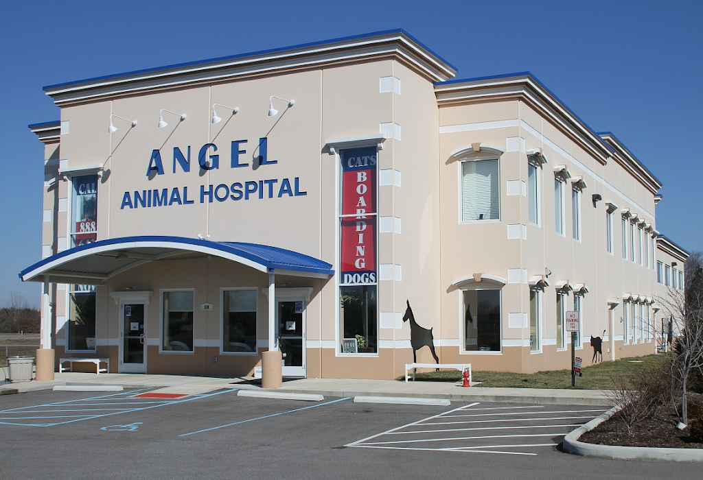 Angel Animal Hospital | 110 N Bluff Rd, Greenwood, IN 46142, USA | Phone: (317) 888-6435