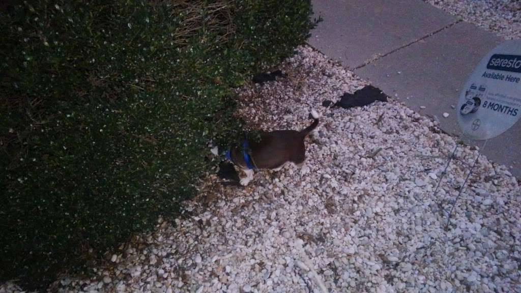 Aylett Animal Hospital Inc | 8065 Richmond Tappahannock Hwy, Aylett, VA 23009, USA | Phone: (804) 769-1530