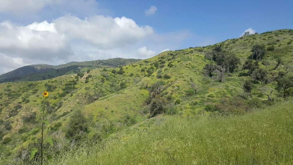 Upper Colby | Glendora Mountain Rd, Glendora, CA 91741