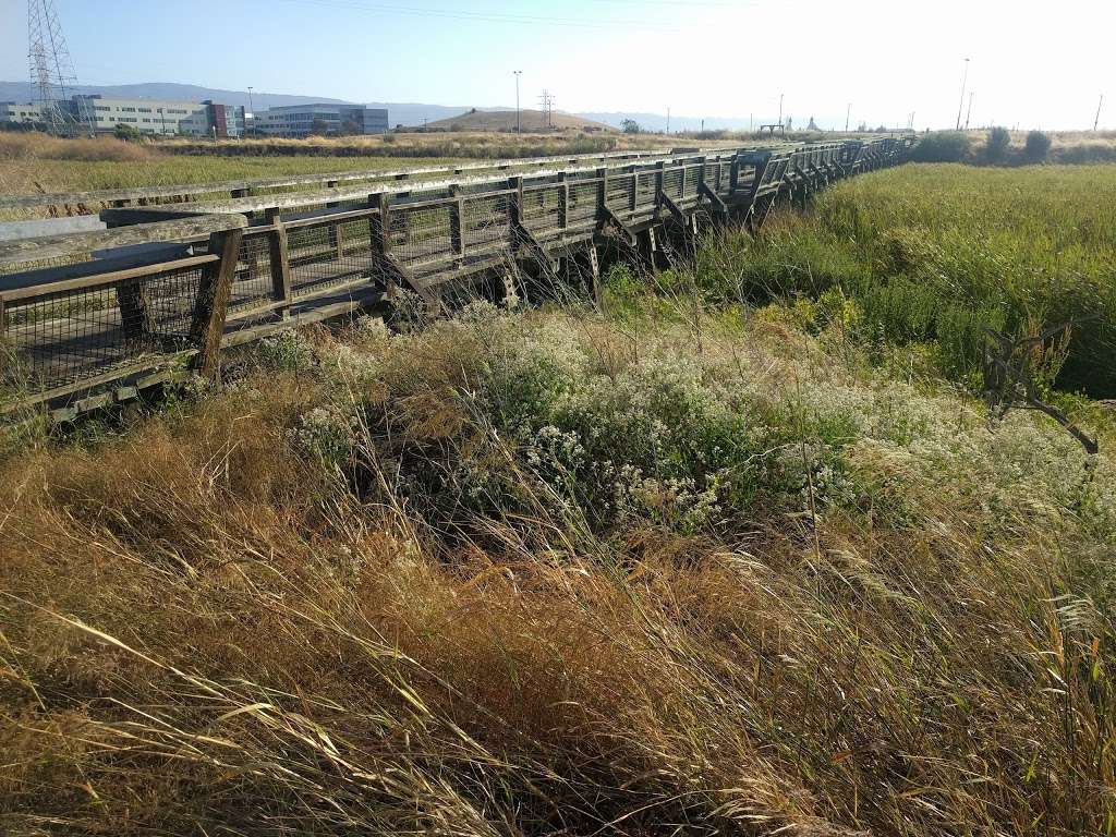 Stevens Creek Shoreline Nature Study Area | Mountain View, CA 94043, USA