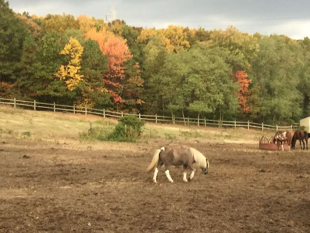 Legacy Riding Stables | 3333 Bordentown Ave, Parlin, NJ 08859, USA | Phone: (732) 727-3838