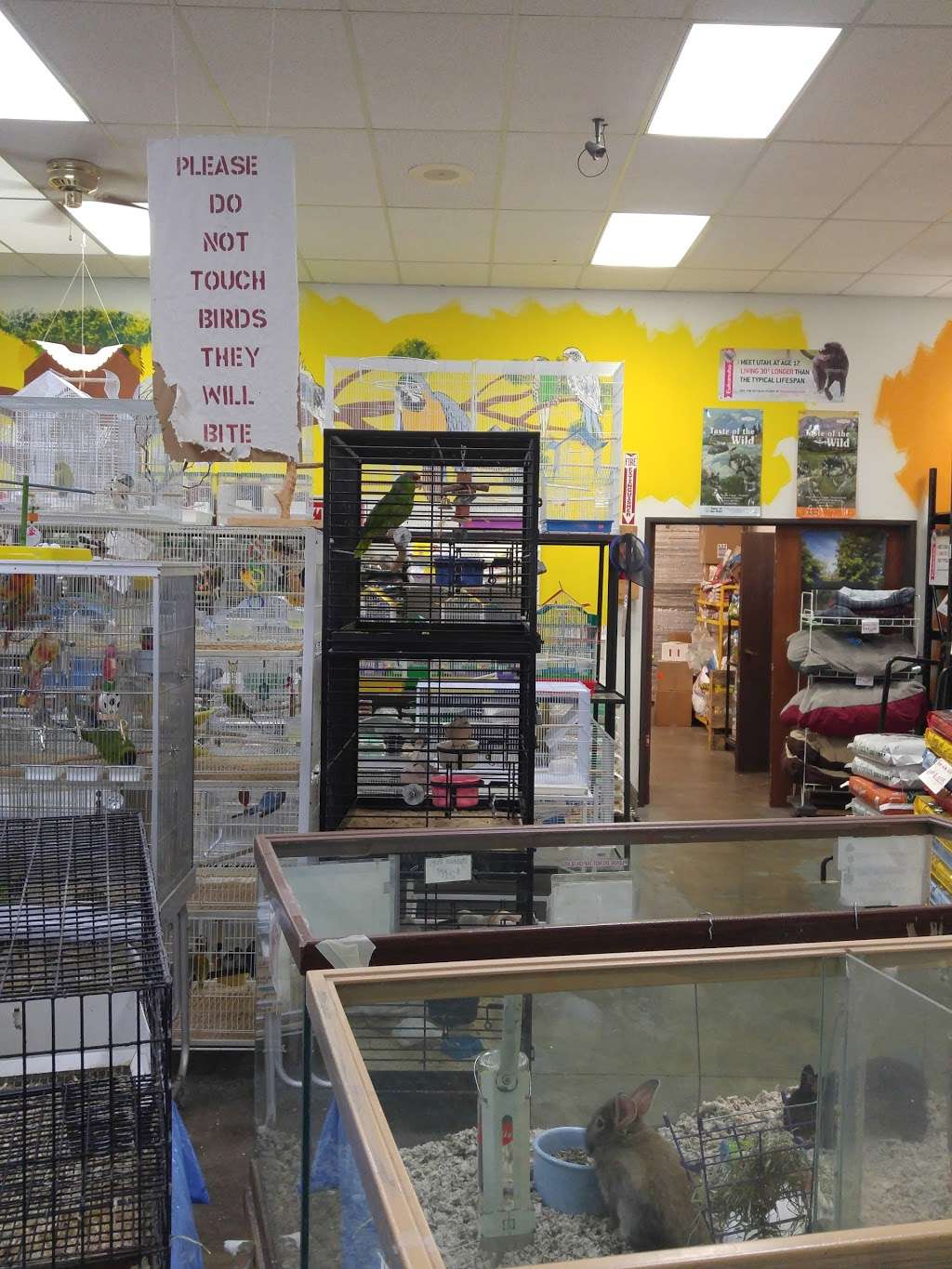 High country feed & pets online