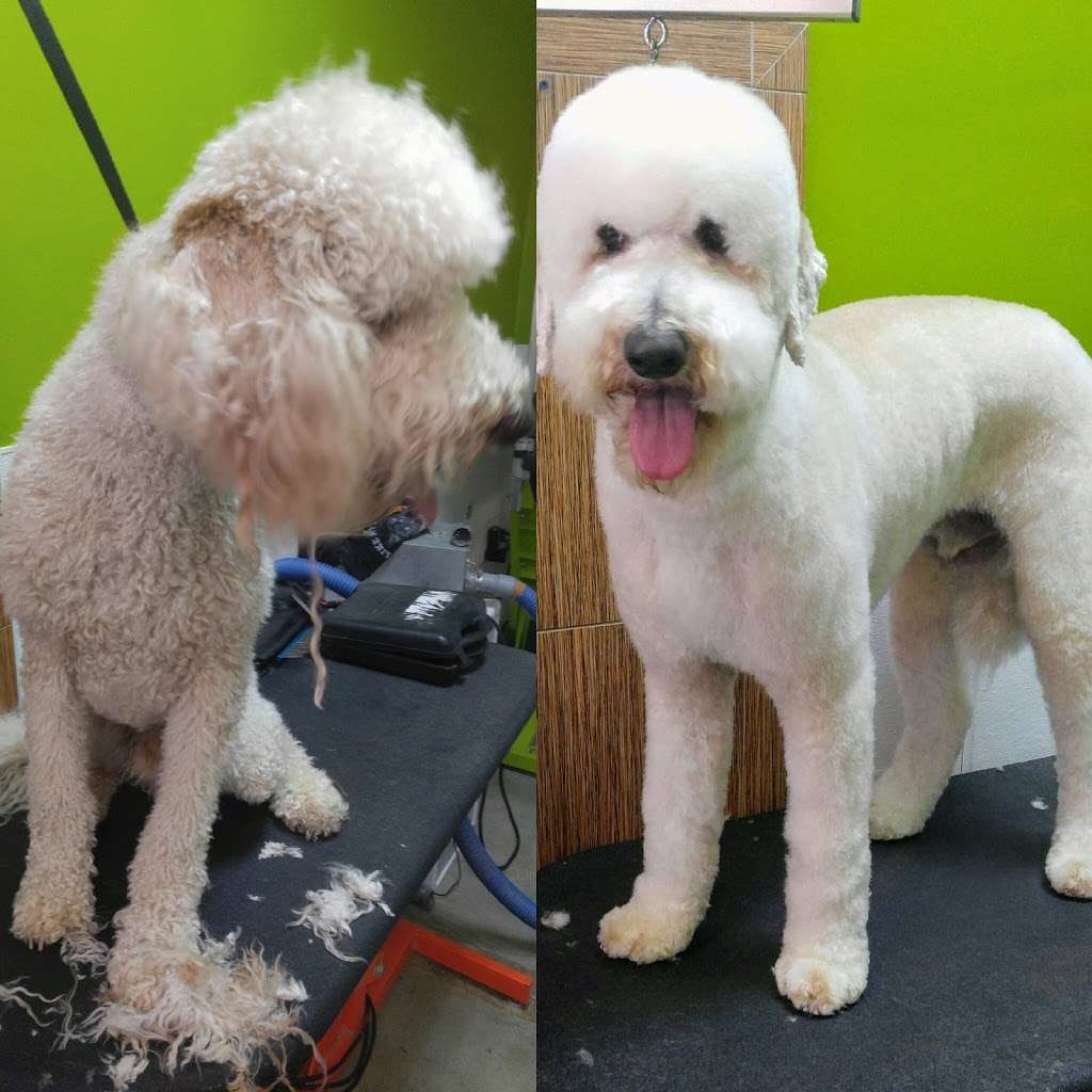 Dirty Dogs Carlsbad | 2521 Palomar Airport Rd #105, Carlsbad, CA 92011, USA | Phone: (760) 438-3478 Dirty Dogs Carlsbad | 2521 Palomar Airport Rd #105, Carlsbad, CA 92011, USA | Phone: (760) 438-3478