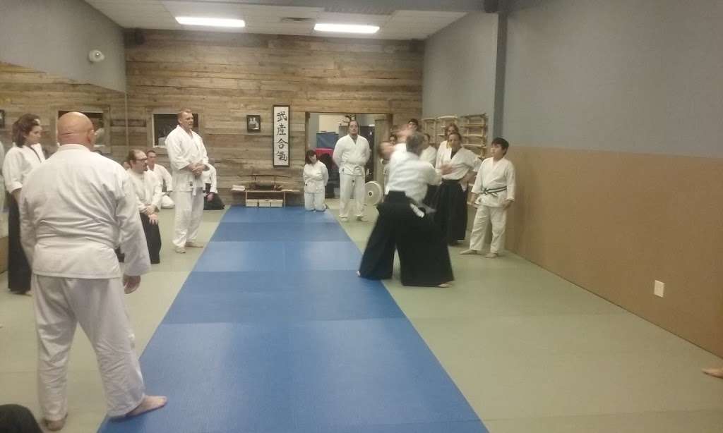 Henderson Aikido | 229 N Stephanie St D, Henderson, NV 89074, USA | Phone: (702) 719-1177