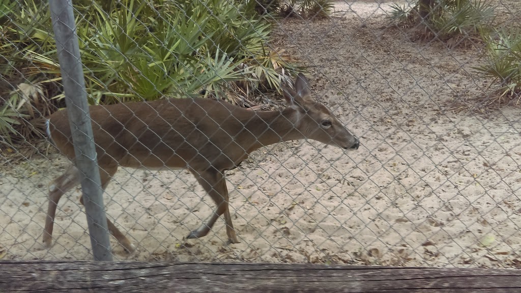Natures Classroom | 13100 Verges Rd, Thonotosassa, FL 33592, USA | Phone: (813) 987-6969