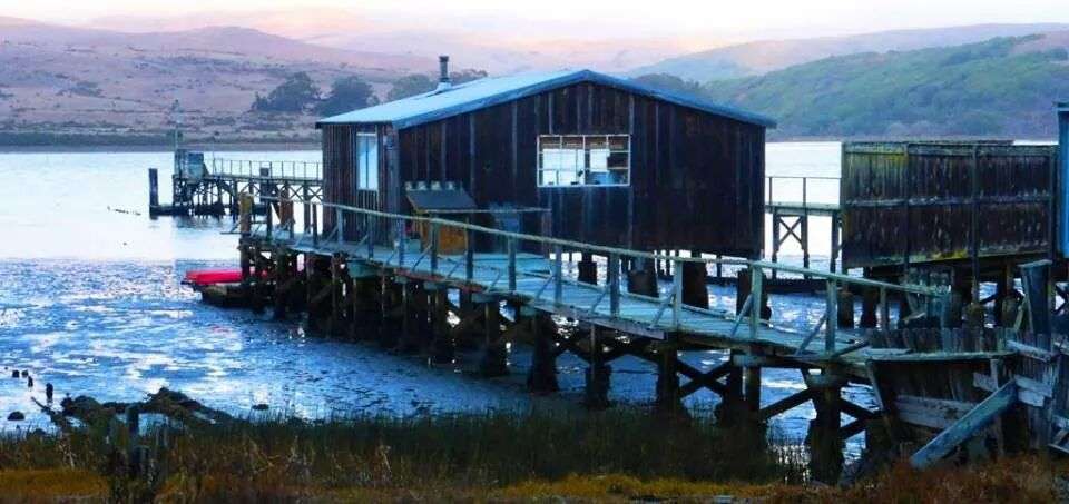 Sea Star Cottage | 12854 Sir Francis Drake Blvd, Inverness, CA 94937, USA | Phone: (510) 731-7535