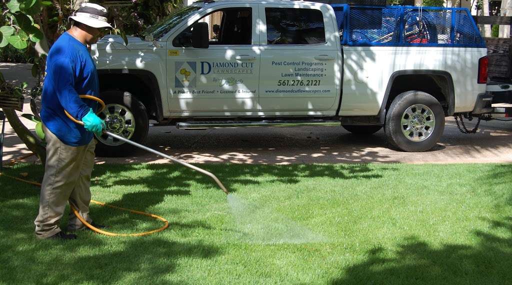 Diamond Cut Lawnscapes and Lawn & Ornamental Spray | 3591 Lone Pine Rd, Delray Beach, FL 33445 | Phone: (561) 276-2121