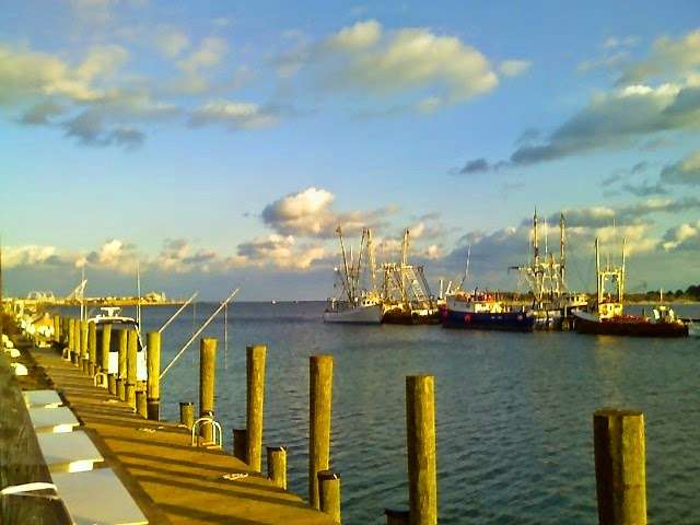 The Natural | 533 Deale Rd, Deale, MD 20751, USA | Phone: (301) 704-7231