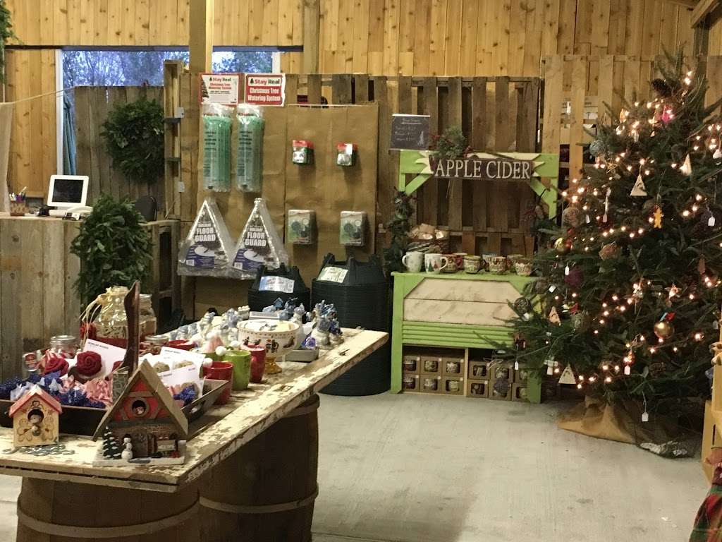 Holiday Acres Christmas Tree Farm | 8919 Mustang Bayou Rd, Manvel, TX 77578, USA | Phone: (281) 317-0586