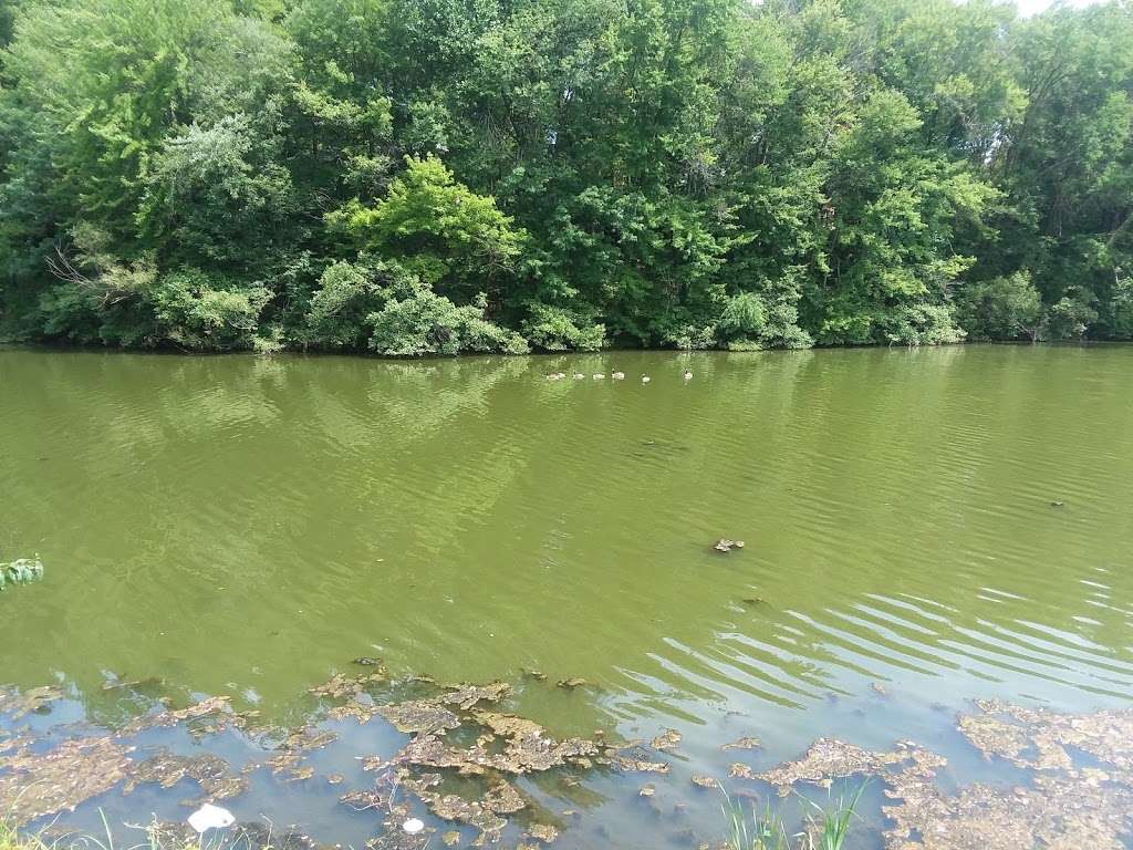 Inspiration Lake Hiking Trail | Unnamed Road, Gaithersburg, MD 20878, USA