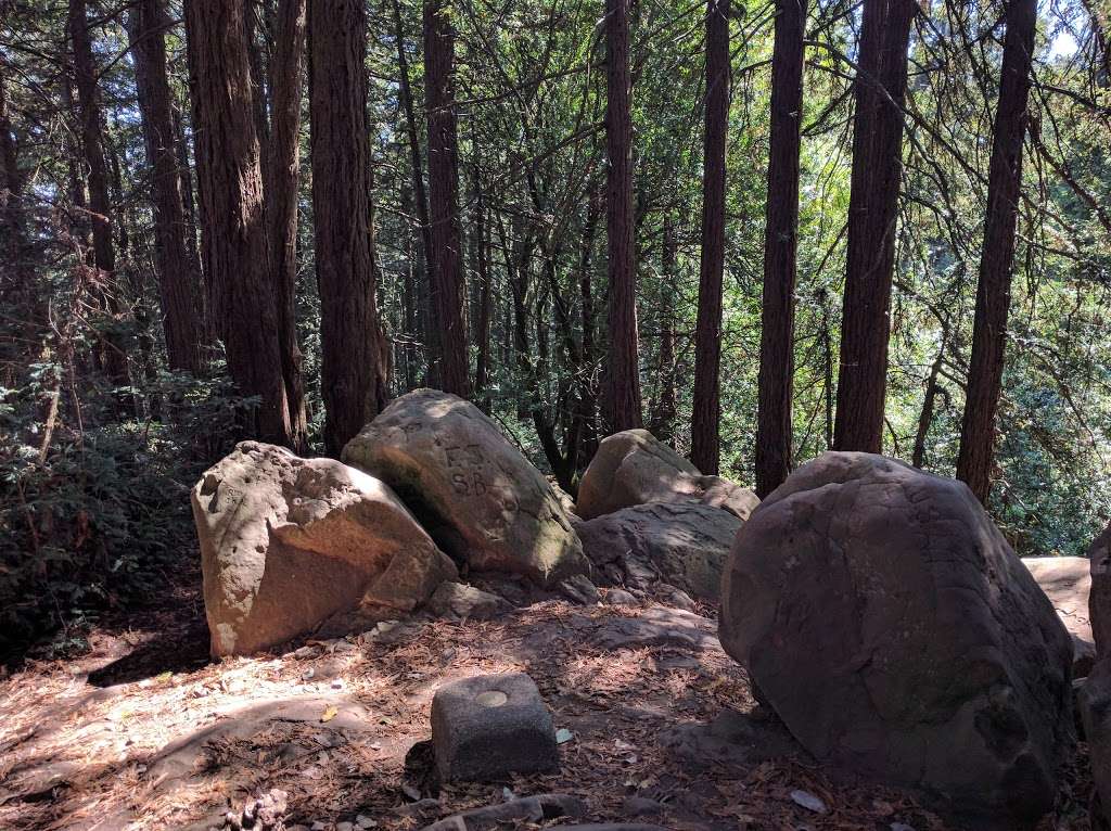 Redwood Peak | Redwood Peak Trail, Oakland, CA 94611, USA