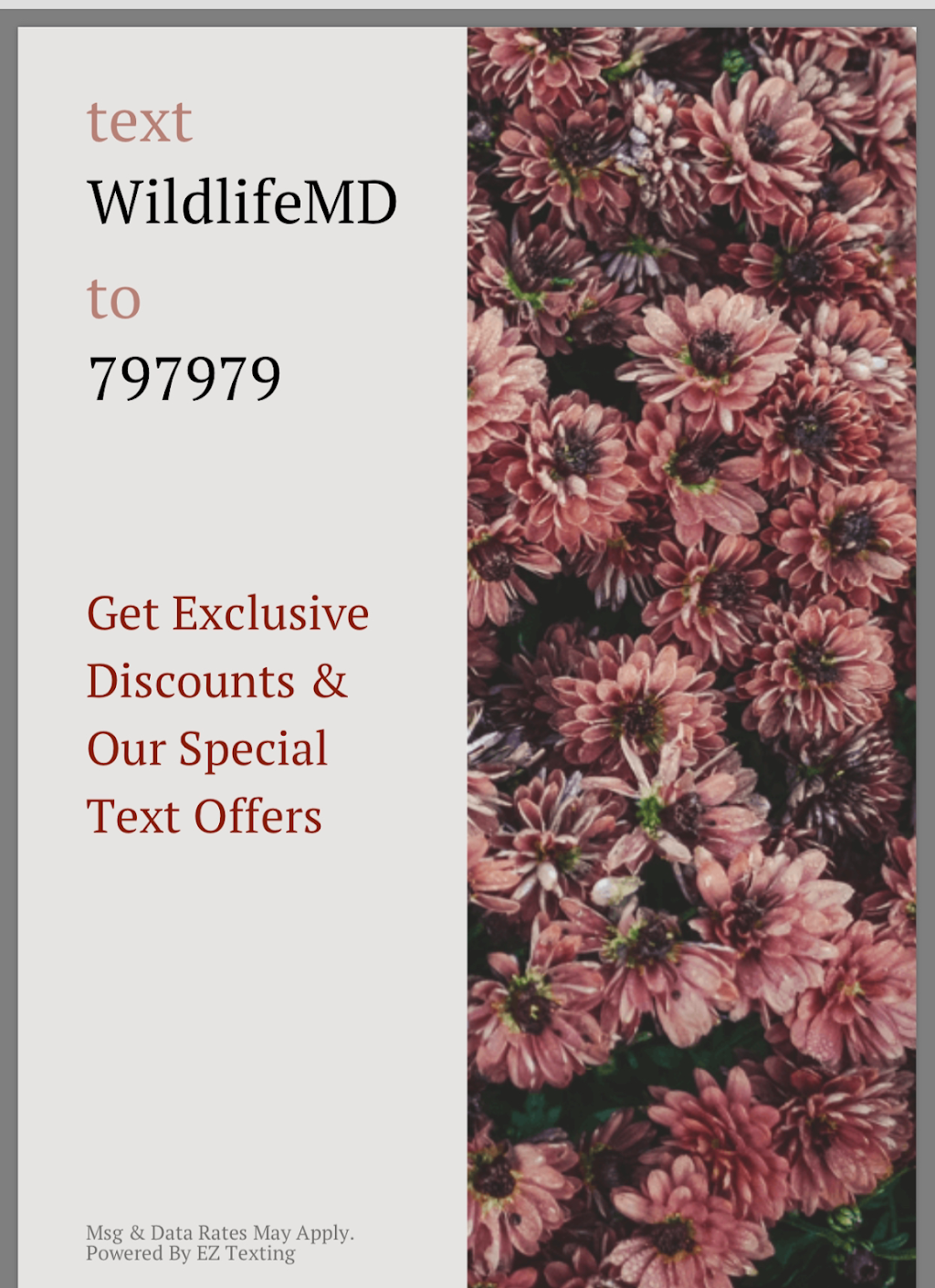 WildPedia | 44 Wyndmoor Pl, Gwynn Oak, MD 21207, USA | Phone: (443) 813-4181