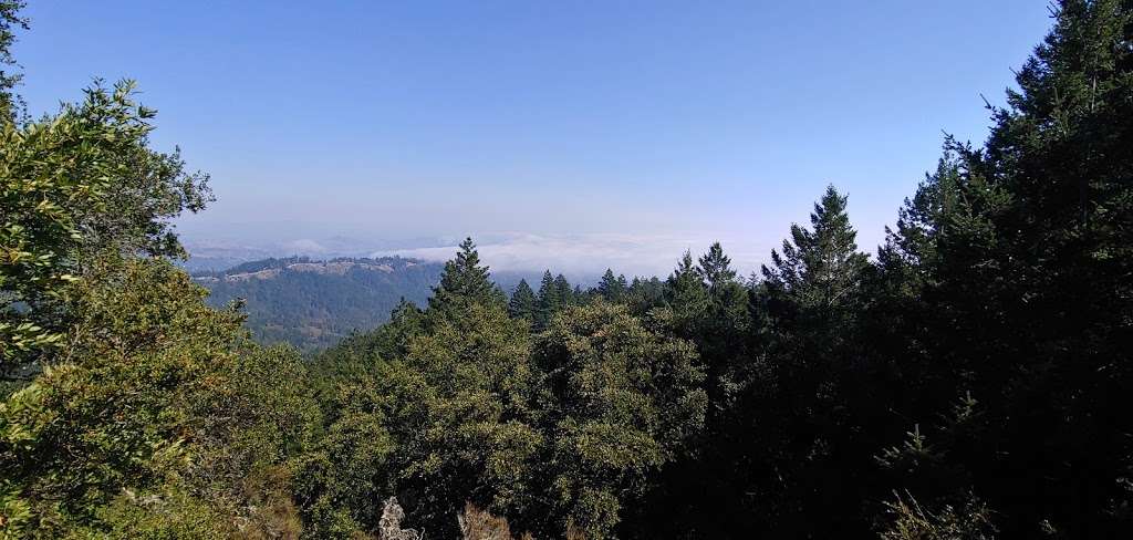 Scenic View | Riding and Hiking Trail, Mill Valley, CA 94941, USA