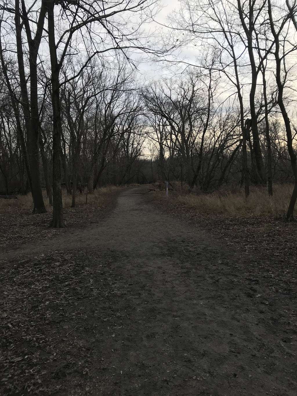 Des Plaines River Trail at Jerome Huppert Woods | Des Plaines River Trail, River Grove, IL 60171, USA