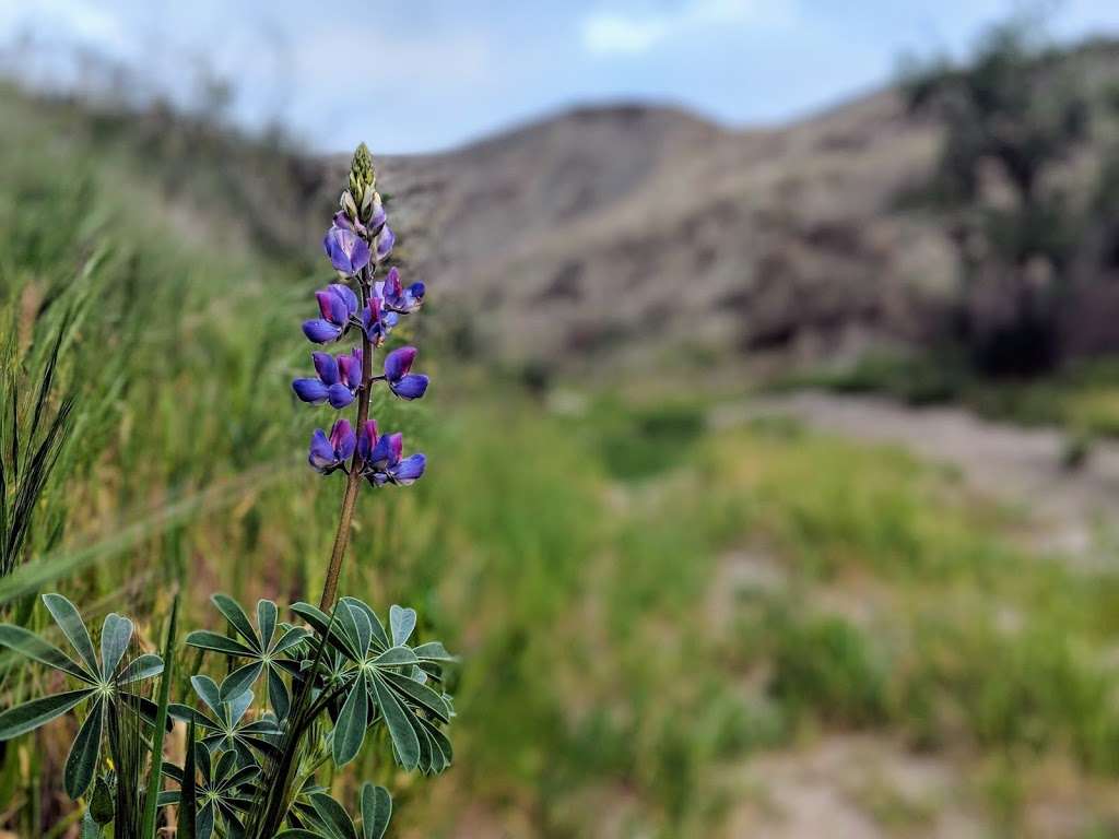 Razor Ridge | West Ridge, Colton, CA 92324, USA