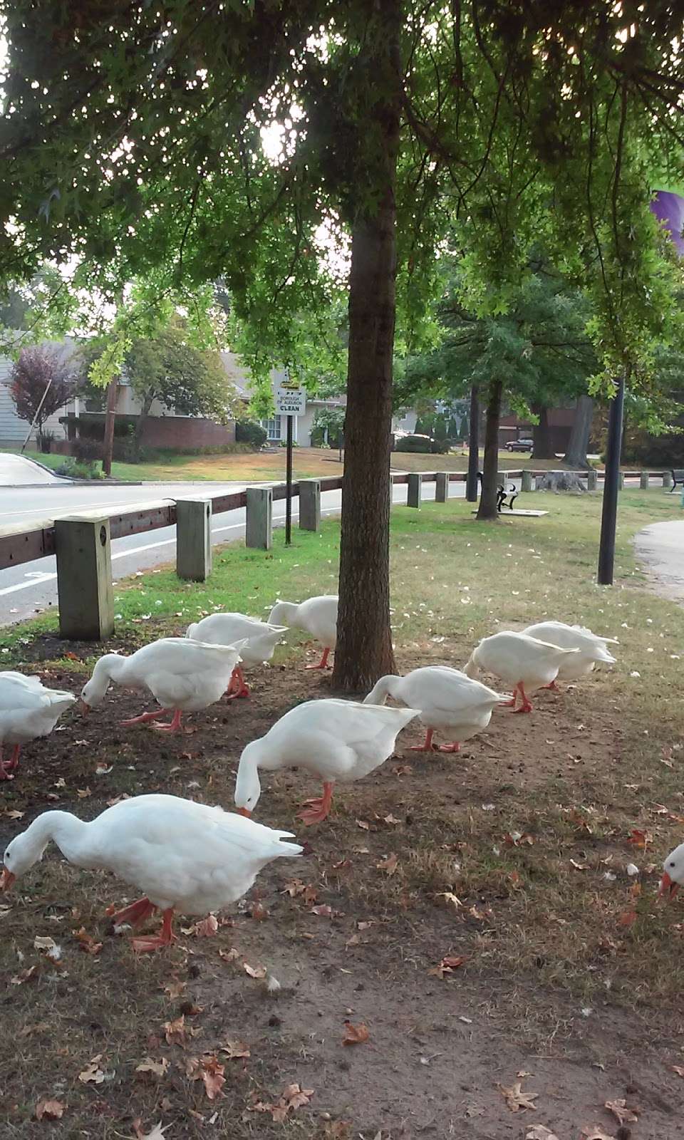 Budget Inn & Suites | 1313, 310 N Black Horse Pike, Mt Ephraim, NJ 08059, USA | Phone: (856) 931-4730