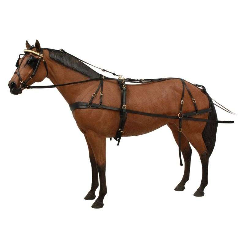 Braggs Saddle Feed-Tack Shop | 783 North County Rd 200 E, Danville, IN 46122 | Phone: (317) 745-9159