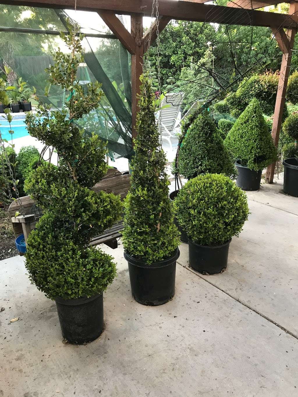 Chris Topiary | 9004 Copley Ln, Riverside, CA 92503 | Phone: (951) 352-3526