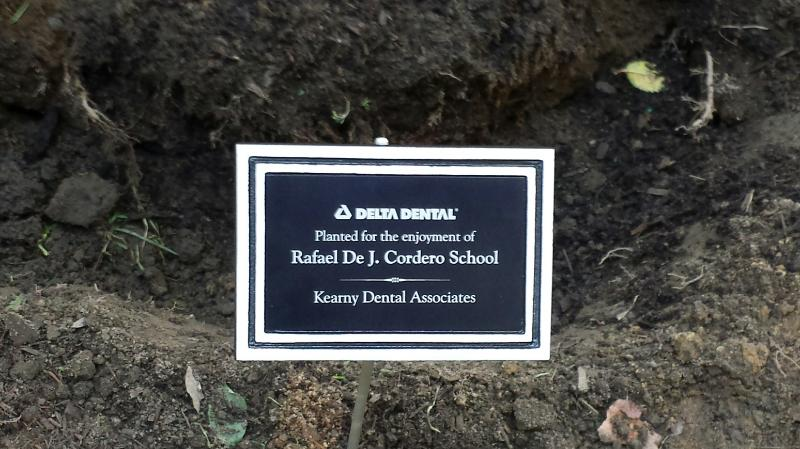 Kearny Dental Associates | 615 Kearny Ave, Kearny, NJ 07032, USA | Phone: (201) 998-2429