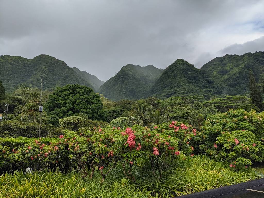 Lyon Arboretum | 3860 Manoa Rd, Honolulu, HI 96822, USA | Phone: (808) 988-0456