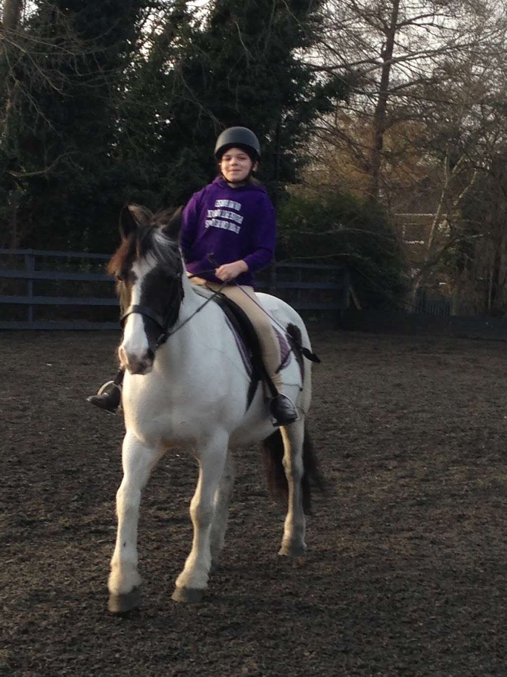 Barnfield Riding School | Parkfields Rd, Kingston upon Thames KT2 5LL, UK | Phone: 020 8546 3616