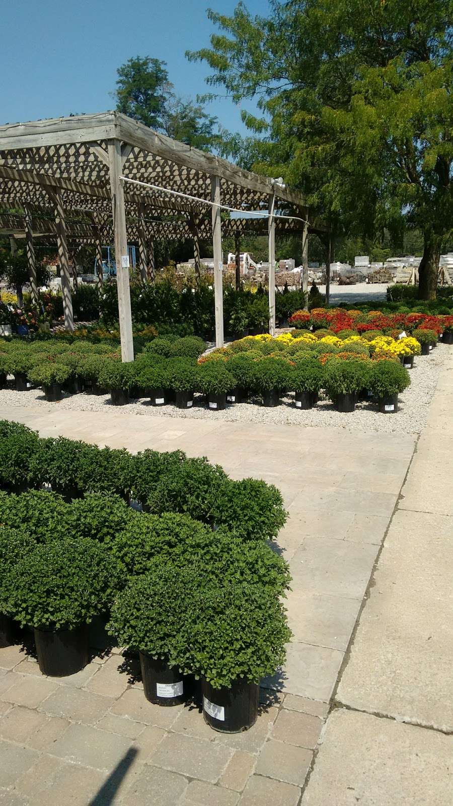 Randys Lakeview Nursery & Stone | 1820 NE County Park Rd, Lees Summit, MO 64086, USA | Phone: (816) 525-1111