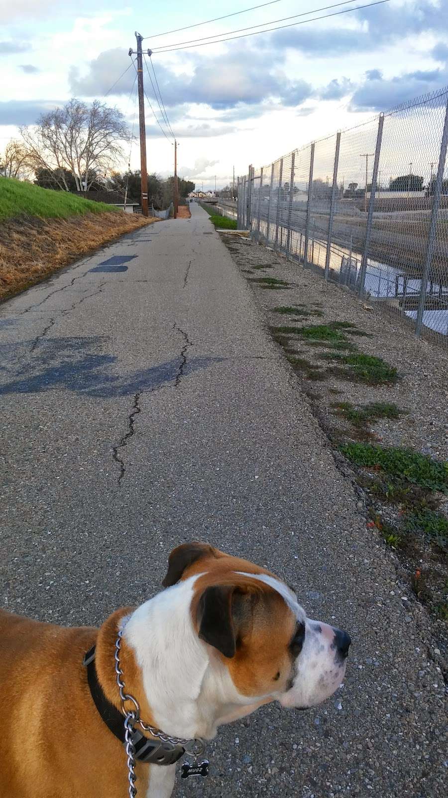 Delta De Anza Regional Trail | Via Delta de Anza Trail, Oakley, CA 94561, USA