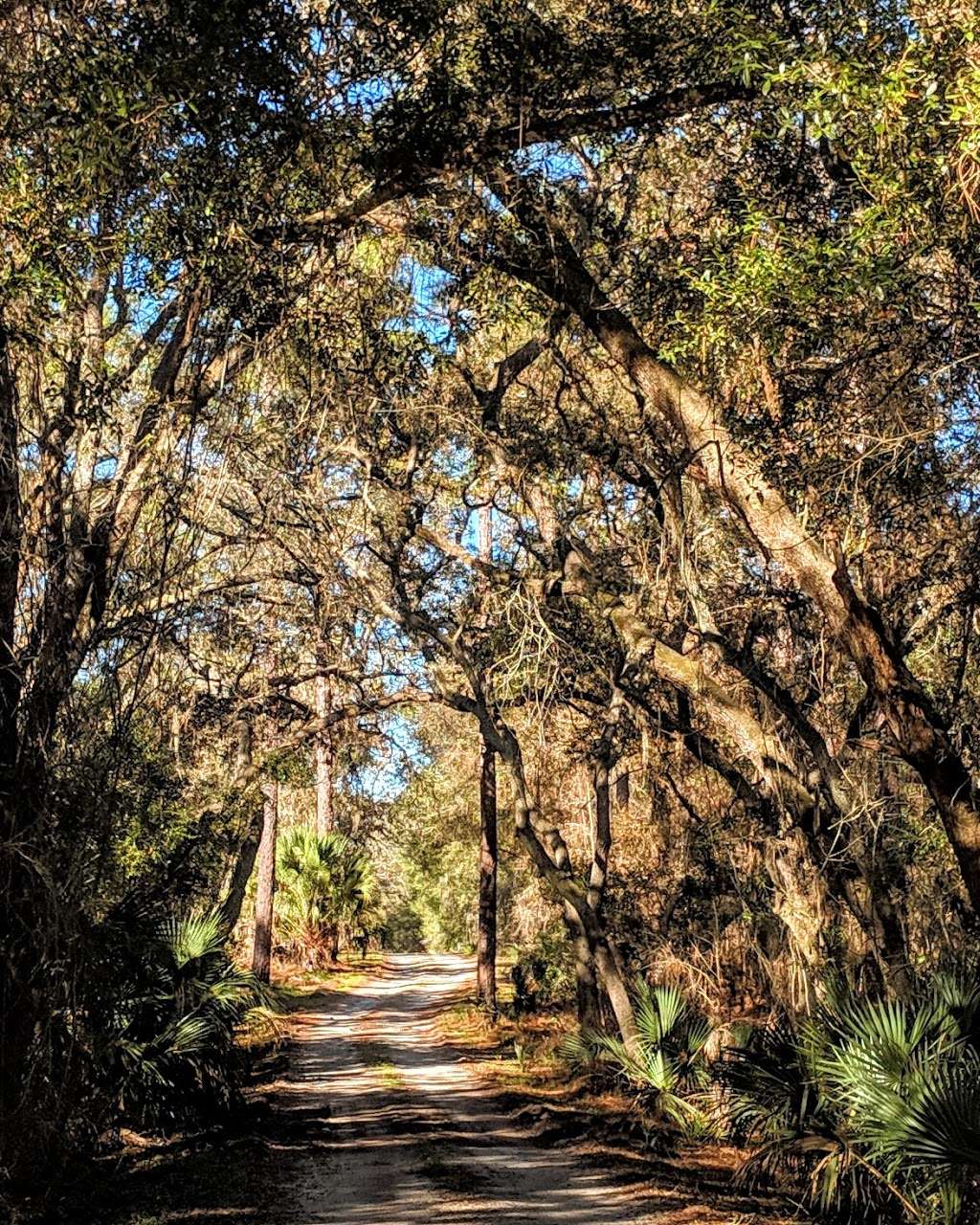 Seminole State Forest | Eustis, FL 32736, USA | Phone: (352) 360-6675