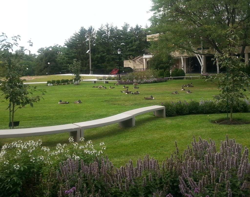 Rockland Community College Herbert Kurz Peace Garden | 145 College Rd, Suffern, NY 10901, USA | Phone: (845) 574-4000