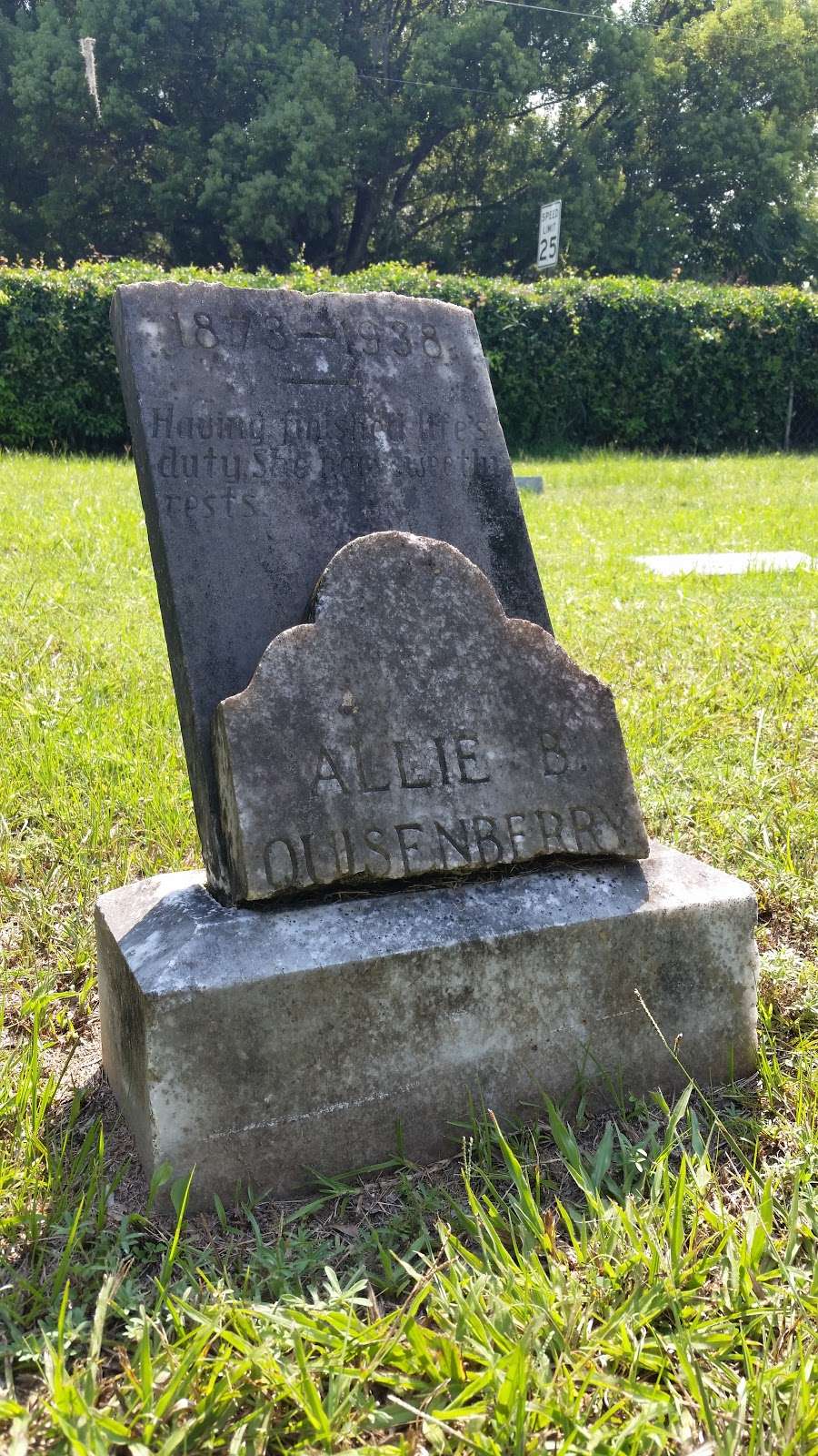 Belleview Cemetery | 6251 SE Robinson Rd, Belleview, FL 34420, USA