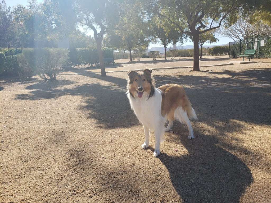 Southern Highlands Dog Park | 10500 S Jones Blvd, Las Vegas, NV 89141, USA | Phone: (702) 361-6640