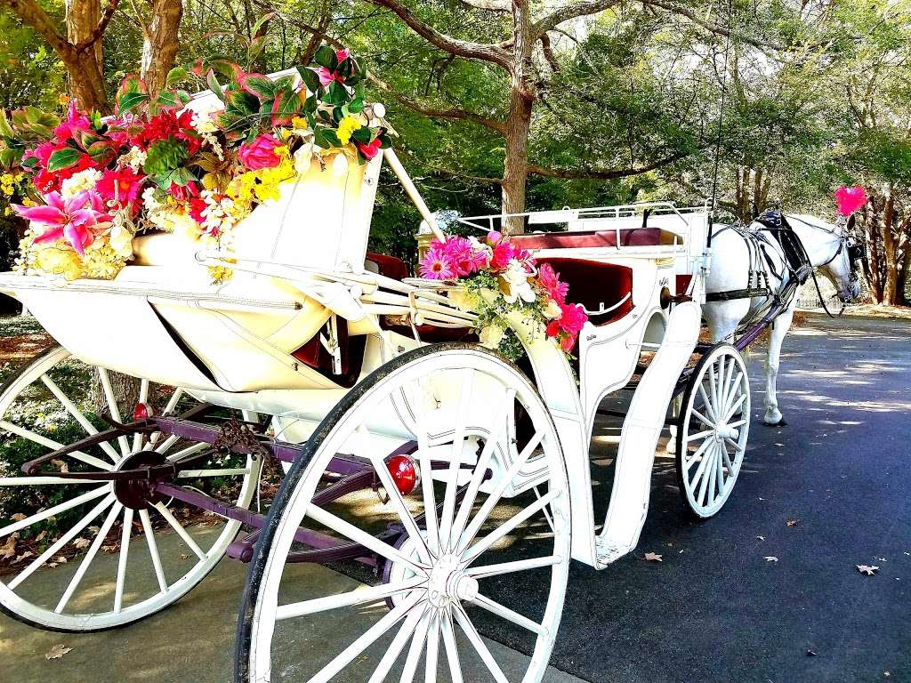 Horse & Carriage Ltd | 3210 Old Mocksville Rd, Salisbury, NC 28144, USA | Phone: (704) 633-0852