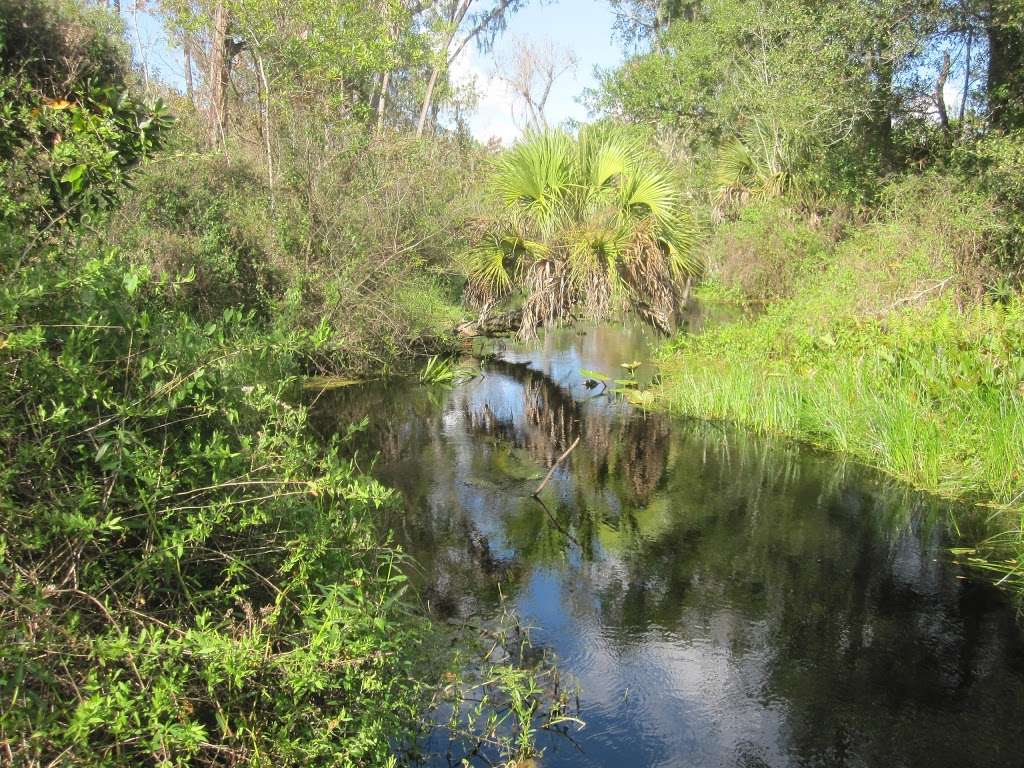 Tiger Creek Preserve | 674 Pfundstein Rd, Babson Park, FL 33827, USA | Phone: (863) 635-7506