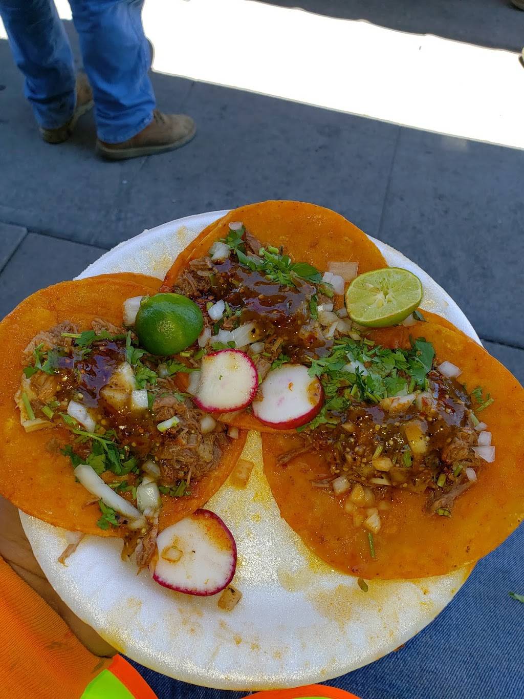 Tacos y Birria El Guero | 1010 E Chestnut Ave A, Santa Ana, CA 92701, USA | Phone: (714) 552-1439