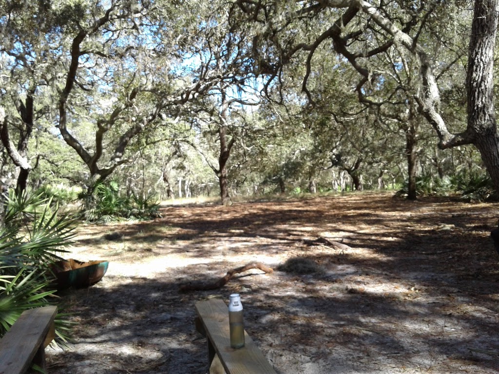 Natures Classroom | 13100 Verges Rd, Thonotosassa, FL 33592, USA | Phone: (813) 987-6969