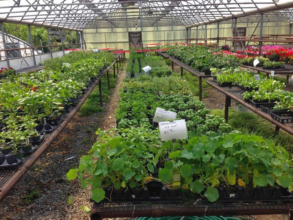 Lucente Nursery (Formerly Liebs Nursery) | 1 Askins Pl, New Rochelle, NY 10801, USA | Phone: (914) 632-5599