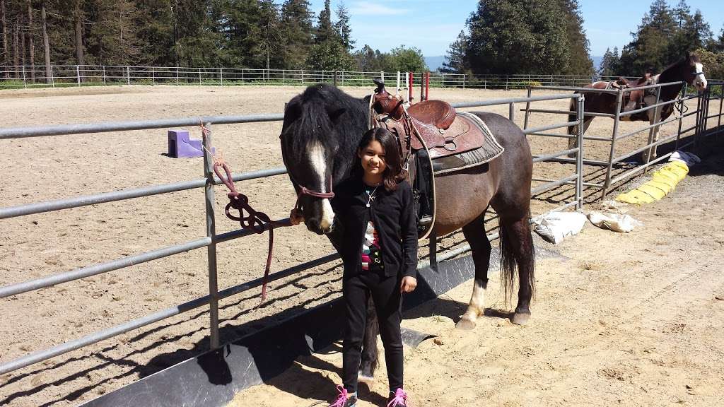 Mt Madonna Stables | 60 Summit Rd, Watsonville, CA 95076, USA | Phone: (408) 663-1665