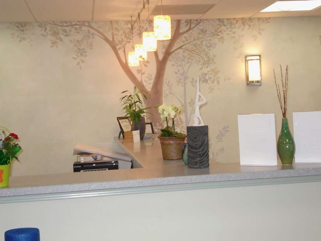 Healing Tree Physical Therapy & Wellness | 1100 Central Ave, Wilmette, IL 60091 | Phone: (847) 512-4070