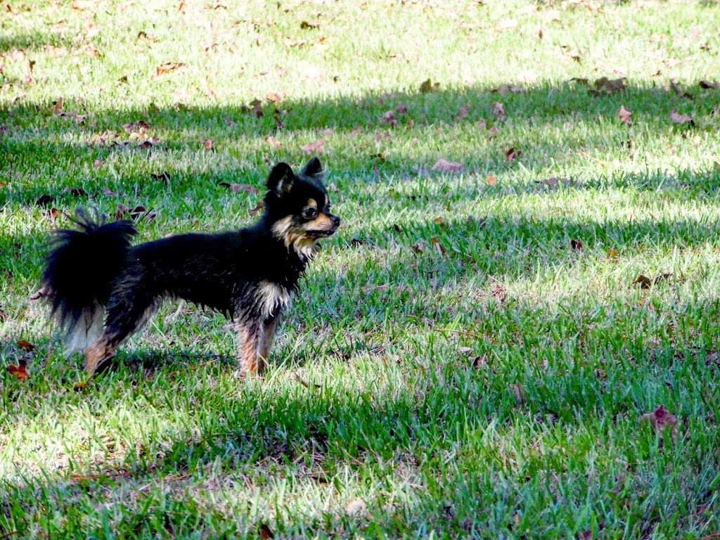 Dog Park at Deussen Park | 12303 Sonnier St, Houston, TX 77044