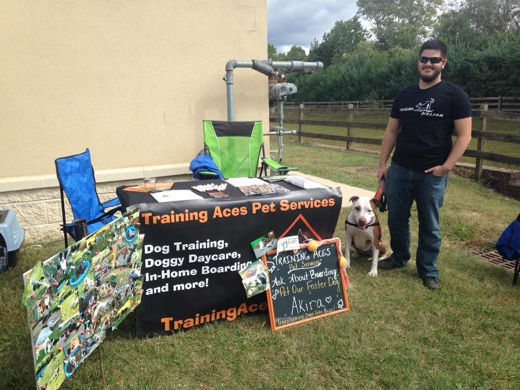 Animal Clinic of Hammonton | 900 12th St #1, Hammonton, NJ 08037, USA | Phone: (609) 878-3725