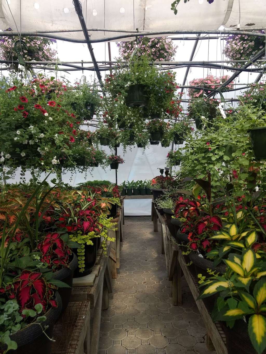 Rockingham Acres Garden Center | 161 Rockingham Rd #4154, Derry, NH 03038, USA | Phone: (603) 434-2817